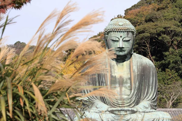 Der große buddha in kamakura, japan — Stockfoto