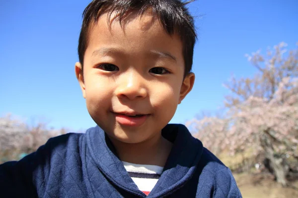 Chico japonés y flores de cerezo (4 años) ) — Foto de Stock