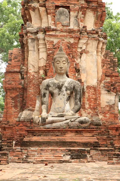 Wat Mahathat en Ayutthaya, Tailandia — Foto de Stock