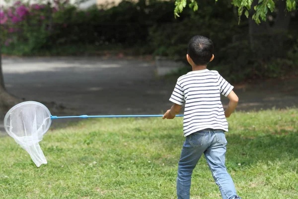 Menino japonês coletando inseto (primeiro grau na escola primária ) — Fotografia de Stock