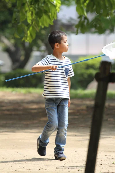 昆虫を集める日本の少年(小学校1年生)) — ストック写真