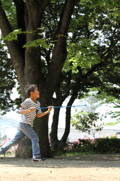 昆虫を集める日本の少年(小学校1年生)) — ストック写真