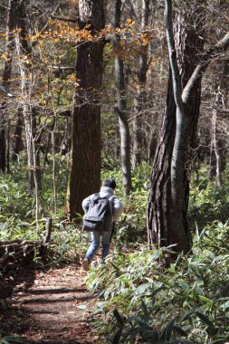Japon çocuk uzun bir yürüyüş üzerinde (birinci sınıftan ilköğretim okulunda)