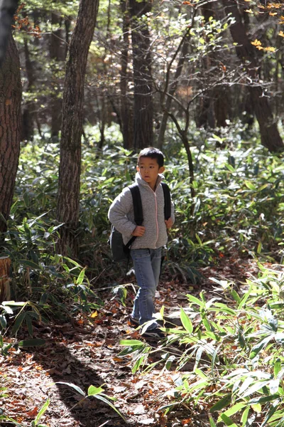 Chico japonés en una caminata (primer grado en la escuela primaria ) — Foto de Stock