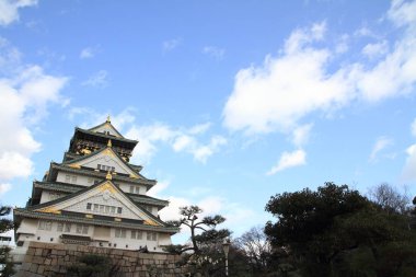 Kale kule Osaka Kalesi Japonya'nın Osaka