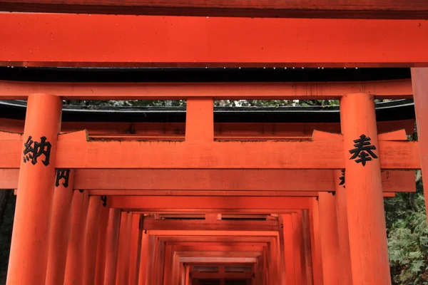 Puerta torii de Fushimi Inari Taisha en Kyoto, Japón — Foto de Stock