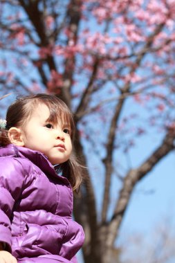 Japon kız ve kiraz çiçekleri 21 yaşında)