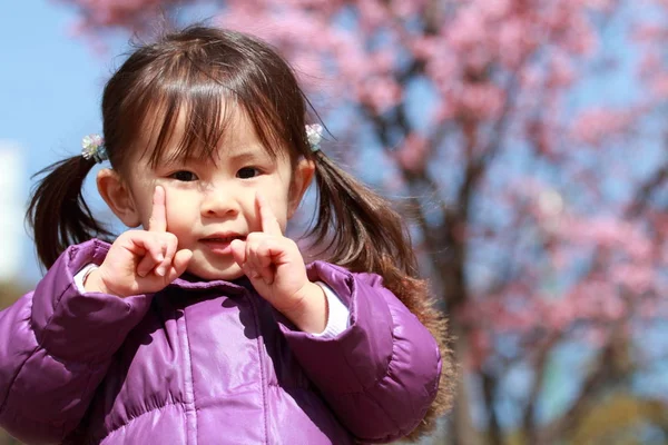 Japon kız ve kiraz çiçekleri 21 yaşında) — Stok fotoğraf