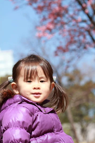 Japonská dívka a Třešňové květy 21 let) — Stock fotografie