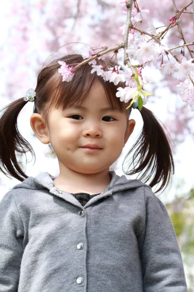 日本の少女と桜 (2 歳) — ストック写真