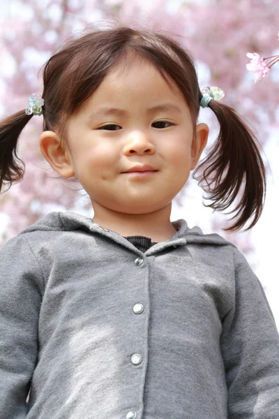 Japansk flicka och körsbär blommar (2 år gammal) — Stockfoto