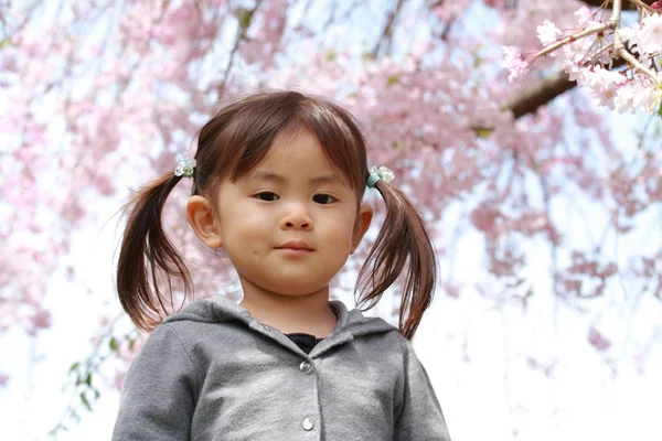 Menina japonesa e flores de cereja (2 anos ) — Fotografia de Stock