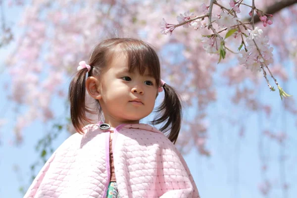 Japonská dívka a Třešňové květy (2 roky staré) — Stock fotografie