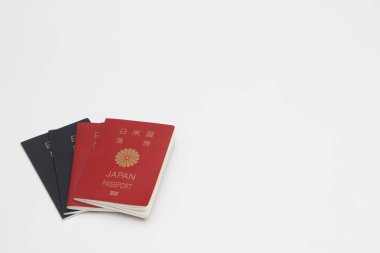Japon pasaportu (kırmızı ve mavi)