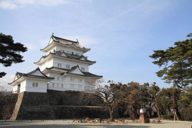 Kale kule Odawara Kalesi: Kanagawa, Japan