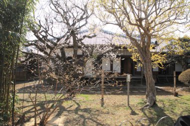 Erik grove Kodokan, Mito, Ibaraki, Japonya