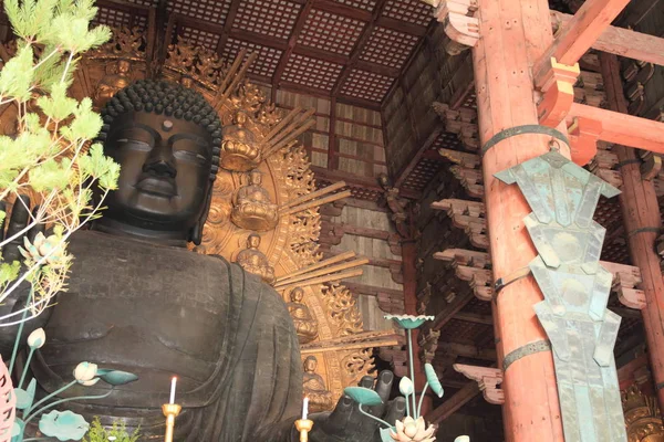 Der große buddha von todai ji in nara, japan — Stockfoto