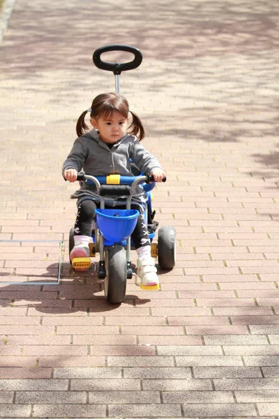 Японская девочка на трехколесном велосипеде (2 года) ) — стоковое фото