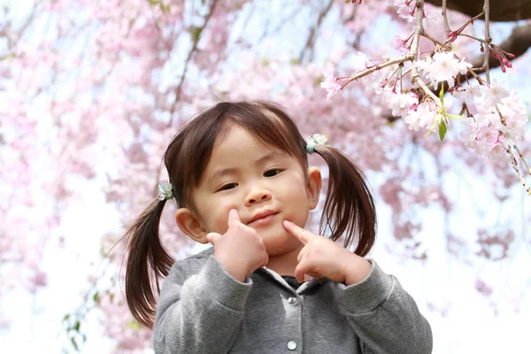 Menina japonesa e flores de cereja (2 anos ) — Fotografia de Stock