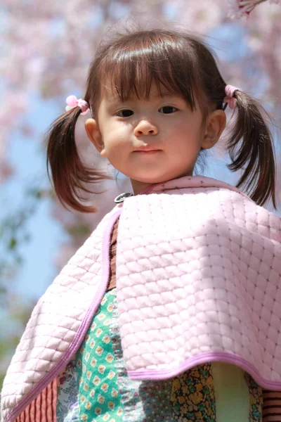 Menina japonesa e flores de cereja (2 anos ) — Fotografia de Stock