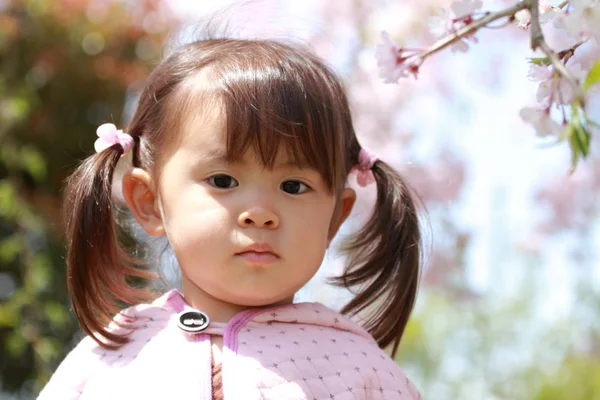 Menina japonesa e flores de cereja (2 anos ) — Fotografia de Stock