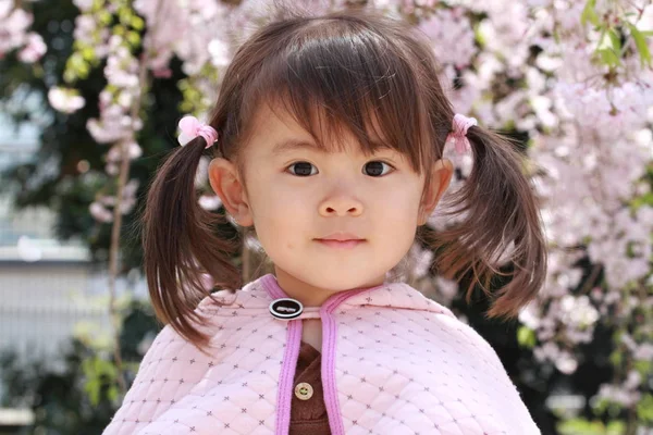 Japanese girl and cherry blossoms (2 years old) — Stock Photo, Image