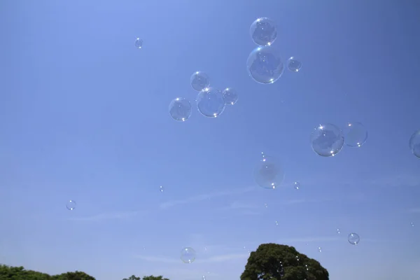 Jabón de burbujas flotante en el cielo azul —  Fotos de Stock