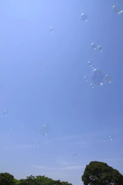 Floating bubble soap in the blue sky — Stock Photo, Image