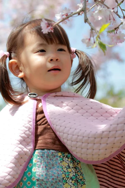 Japonská dívka a Třešňové květy (2 roky staré) — Stock fotografie