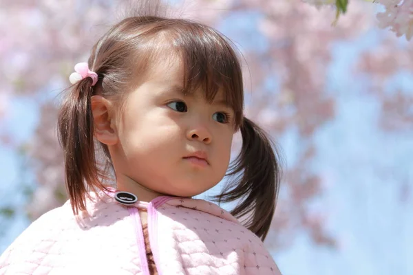 Ιαπωνικά κορίτσι και άνθη κερασιάς (2 ετών) — Φωτογραφία Αρχείου