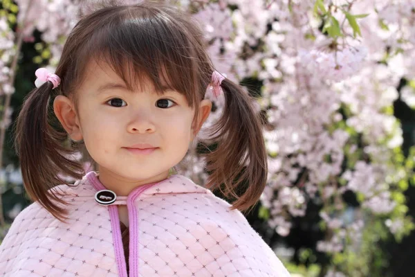 Ragazza giapponese e fiori di ciliegio (2 anni ) — Foto Stock