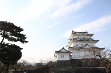 Kale kule Odawara Kalesi: Kanagawa, Japan