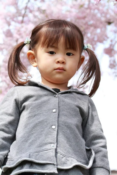 Japanese girl and cherry blossoms (2 years old) — Stock Photo, Image