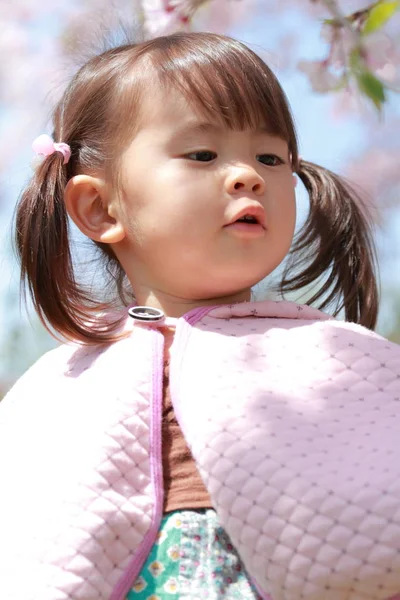 Menina japonesa e flores de cereja (2 anos ) — Fotografia de Stock