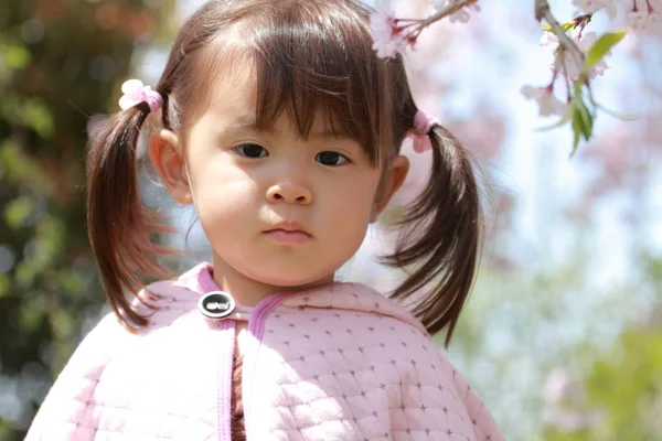 일본 소녀와 벚꽃 (2 세) — 스톡 사진