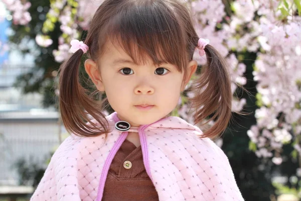 Menina japonesa e flores de cereja (2 anos ) — Fotografia de Stock