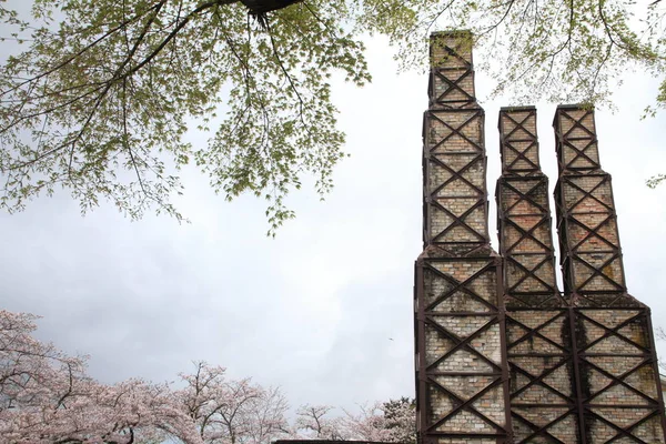 Nirayama reverberatory fırınlar ve kiraz çiçekleri Izu, Shizuoka, Japonya