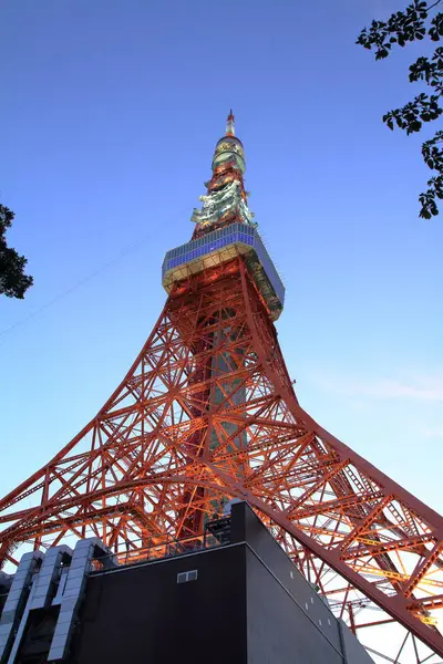 东京铁塔的芝，东京，日本 （夜景) — 图库照片