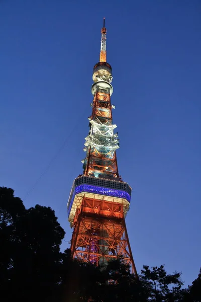 Torre de Tóquio em Shiba, Tóquio, Japão (cena noturna ) — Fotografia de Stock