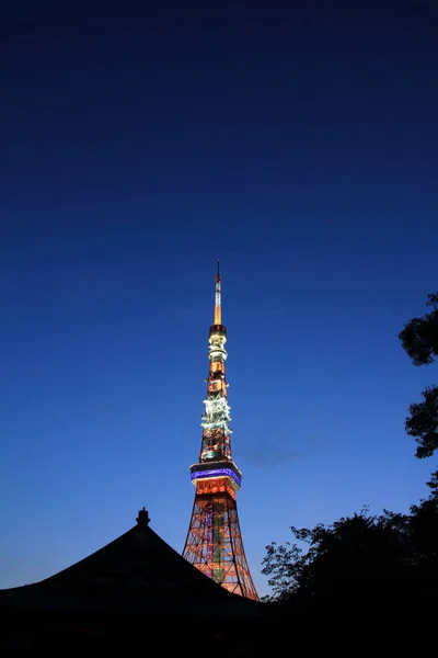Torre de Tokio y Zojo ji en Shiba, Tokio, Japón (escena nocturna ) — Foto de Stock