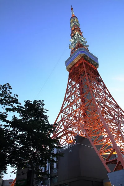 Torre de Tokio en Shiba, Tokio, Japón (escena nocturna ) — Foto de Stock