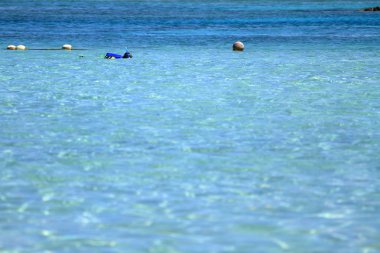 Japon çocuk şnorkel ile Yüzme (ikinci sınıf ilköğretim okulunda)