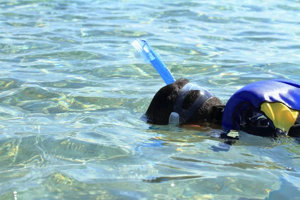 Japanese boy swimming with snorkel (second grade at elementary school) — Stock Photo, Image