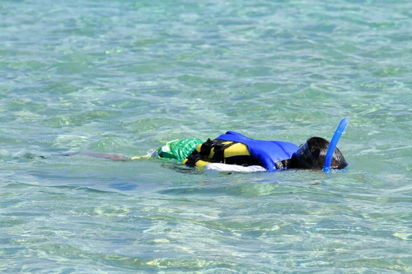 Japanischer Junge schwimmt mit Schnorchel (zweite Klasse der Grundschule)) — Stockfoto