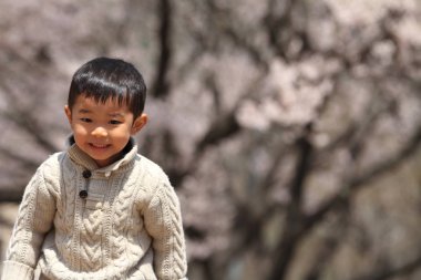 Japon çocuk ve kiraz çiçekleri (3 yaşında)