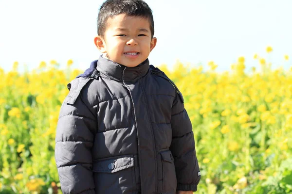 Japanese boy and rape blossoms (3 years old) — Stock Photo, Image