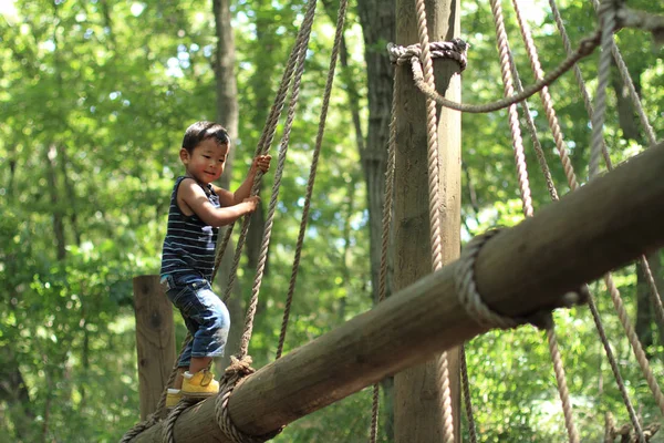 Japoński chłopiec grając na parkurze przeszkody (3 lat) — Zdjęcie stockowe