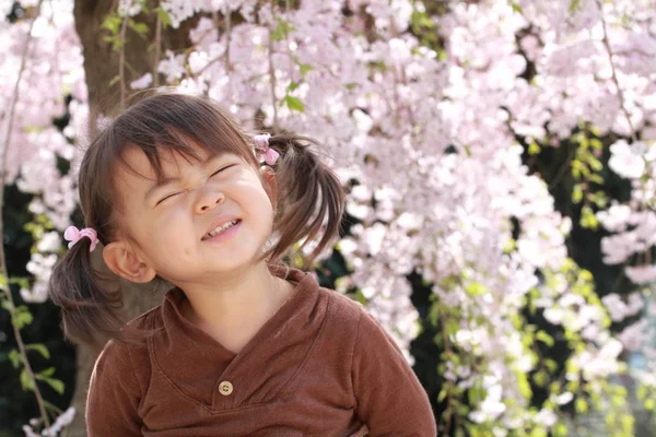 일본 소녀와 벚꽃 (2 세) — 스톡 사진