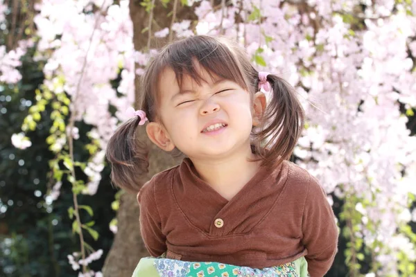 Japansk flicka och körsbär blommar (2 år gammal) — Stockfoto