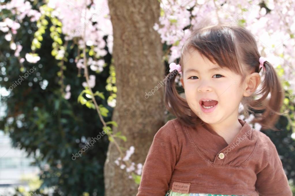 Japanese girl and cherry blossoms (2 years old)